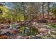 Backyard water feature with rock waterfall and lush greenery, creating a serene atmosphere at 9188 Buck Hill Dr, Highlands Ranch, CO 80126