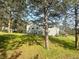 Expansive backyard with lush green grass, mature trees providing shade, and play area at 4724 Hopi Rd, Indian Hills, CO 80454