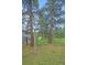 Wooden swing set nestled among mature trees in a spacious backyard, perfect for outdoor play at 4724 Hopi Rd, Indian Hills, CO 80454