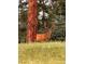 Majestic buck stands proudly amongst wildflowers and towering pine trees, displaying the natural beauty of the area at 4724 Hopi Rd, Indian Hills, CO 80454