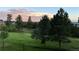 Scenic backyard featuring mature trees and lush greenery at 5542 Ponderosa Dr, Parker, CO 80134