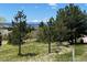 Tranquil view overlooking the lush backyard with mature trees and distant snow-capped mountains at 5542 Ponderosa Dr, Parker, CO 80134