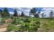 Lush front yard with vibrant greenery, mature trees, and landscaping at 7194 S Himalaya Way, Centennial, CO 80016