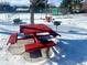 Snowy picnic area with tables and grill at 12460 S Hollow Creek Ct, Parker, CO 80134