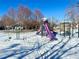 Swings and playset in snowy playground at 12460 S Hollow Creek Ct, Parker, CO 80134