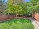 Backyard features a fire pit with Adirondack chairs, green grass, and a fenced yard with mature trees at 13895 Sandtrap Cir, Broomfield, CO 80023
