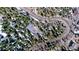 Aerial view showcases the home's placement on a winding road, surrounded by evergreen trees at 10439 Christopher Dr, Conifer, CO 80433