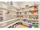 Spacious walk-in pantry with ample shelving for organized storage of food and household items at 631 Felicity Loop, Castle Rock, CO 80109