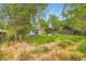 Home's backyard featuring overgrown weeds at 4624 W Virginia Ave, Denver, CO 80219