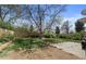 Picture of the backyard with mature trees and partial patio at 4102 W Eastman Ave, Denver, CO 80236