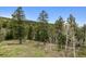 Serene lot with mature trees and natural landscaping, offering privacy and tranquility at 16861 Wrangler Trl, Littleton, CO 80127