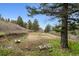 Secluded outdoor space, a wooded setting with a potential for creating serene landscaping or recreational zone at 16861 Wrangler Trl, Littleton, CO 80127