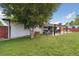 Back yard with grass, covered patio, barbecue, fenced area and large shade tree at 45 S Reed St, Lakewood, CO 80226