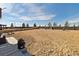 Large, open backyard with a privacy fence and potential for landscaping, offering ample space for outdoor activities at 15507 Quince Cir, Thornton, CO 80602