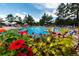 Vibrant community pool scene with blooming flowers, perfect for summer relaxation and socializing under the sun at 4406 Orofino Pl, Castle Rock, CO 80108