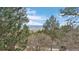 Beautiful view of the distant valley as seen through the surrounding mature pine trees at 4406 Orofino Pl, Castle Rock, CO 80108