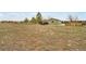 Large backyard with outbuilding and treed views at 12337 2Nd St, Parker, CO 80134
