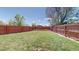 Expansive grassy backyard enclosed by a wooden fence, great for outdoor activities and privacy at 11560 River Run Cir, Commerce City, CO 80640