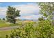 Back yard with treeline, grassy area, mountains and blue sky at 10711 Longs Way, Parker, CO 80138