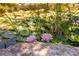 Close-up of blooming water lilies in a serene pond, showcasing the natural beauty and tranquility of the property at 8361 Piney Creek Rd, Parker, CO 80138