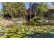 Beautiful pond with blooming lily pads and a waterfall feature surrounded by lush landscaping and the home's exterior at 8361 Piney Creek Rd, Parker, CO 80138