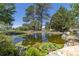 Scenic pond view showcasing beautiful lily pads and natural rocks surrounding the tranquil water feature at 8361 Piney Creek Rd, Parker, CO 80138