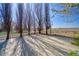 Backyard basketball court with privacy trees, lighting, and white perimeter fence at 6800 Saddleback Ave, Firestone, CO 80504