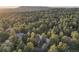 Aerial view of a home nestled in a lush forest, showcasing the surrounding natural beauty and serene setting at 474 Silbrico Way, Castle Rock, CO 80108