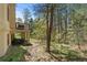 View of the backyard of the home and the outdoor patio with table and chairs, surrounded by mature trees at 474 Silbrico Way, Castle Rock, CO 80108