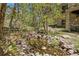 Picturesque backyard with a natural creek and lush landscaping, creating a tranquil outdoor oasis at 474 Silbrico Way, Castle Rock, CO 80108