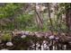 Water feature with rocks and foliage create a tranquil scene in the backyard, surrounded by mature trees at 474 Silbrico Way, Castle Rock, CO 80108