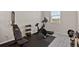 Bright home gym featuring a stationary bike, weights, and a padded bench for a complete workout experience at 2637 Gray Wolf Pl, Castle Rock, CO 80104