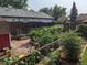View of the backyard featuring a garden, brick pathway, and shed at 4416 Brentwood St, Wheat Ridge, CO 80033