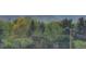 Scenic shot of a tree-filled view from the home at 4416 Brentwood St, Wheat Ridge, CO 80033