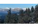 Scenic mountain view with snow-capped peaks visible through lush green pine trees at 3961 Mossy Rock Ln, Evergreen, CO 80439