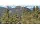 Stunning views of the mountains and forest from this property at 3961 Mossy Rock Ln, Evergreen, CO 80439