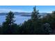 Beautiful mountain views through the trees from this property at 3961 Mossy Rock Ln, Evergreen, CO 80439
