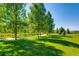 Walking path lined with trees and grass at 10217 Greenfield Cir, Parker, CO 80134