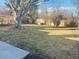 Backyard with a large tree and partial fence at 799 N Holly St, Denver, CO 80220