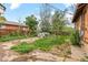 Overgrown backyard with weeds, debris, and covered vehicle at 2701 W Mississippi Ave, Denver, CO 80219