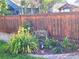 Landscaped backyard with flowers and a wooden fence at 580 Mount Massive St, Berthoud, CO 80513