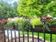 Well-manicured front yard with flower boxes and landscaping at 580 Mount Massive St, Berthoud, CO 80513