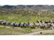 Stunning aerial view of homes nestled in a picturesque community with mountain views at 7120 Red Mesa Dr, Littleton, CO 80125