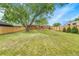 Spacious backyard with large green tree at 7940 Appleblossom Ln, Westminster, CO 80030