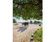 Horses graze in a grassy pasture, enjoying the shade under a large, leafy tree at 1705 Outter Marker Rd, Castle Rock, CO 80108