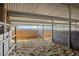 This horse stall is well-lit and features sturdy metal fencing for safety and visibility at 1705 Outter Marker Rd, Castle Rock, CO 80108