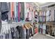 Spacious walk-in closet offering extensive hanging space, shelves, and drawers for organized storage at 10167 Nadine Ave, Parker, CO 80134