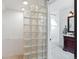 Walk in shower in a bathroom with glass brick feature at 1459 S Elizabeth St, Denver, CO 80210