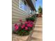 Charming home exterior featuring vibrant pink flowers and well-maintained landscaping at 3865 Rawhide Cir, Castle Rock, CO 80104