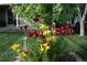 Landscaped yard with vibrant red and yellow lilies, showcasing beautiful curb appeal at 3865 Rawhide Cir, Castle Rock, CO 80104
